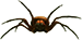 Grounded Diving Bell Spiders