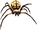 Grounded Orb Weaver Spider