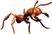 Grounded Soldier Ant